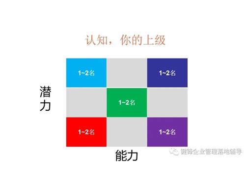 如何運用向上管理與下屬培育？